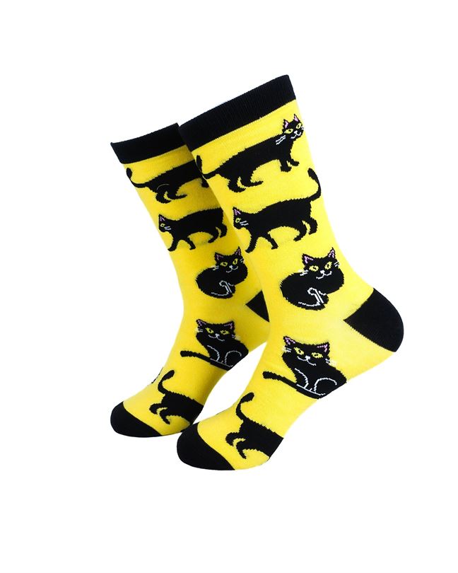 Black Cats Yellow